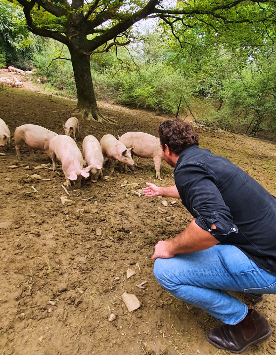 Accompagnement terrain des producteurs et transformateurs agroalimentaires par Origin Food Export Solutions